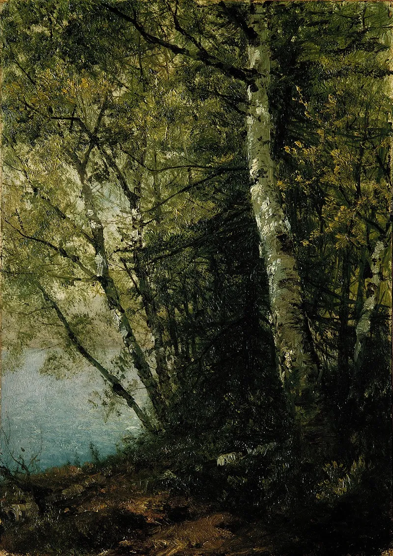 Study Of Beeches