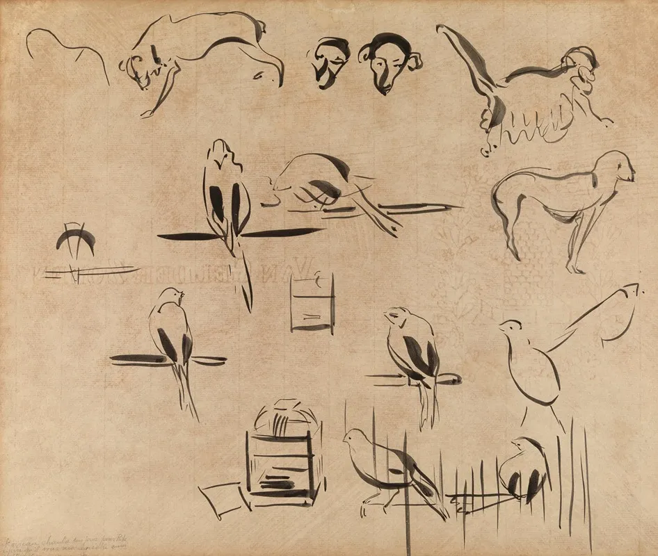 Study Of Birds