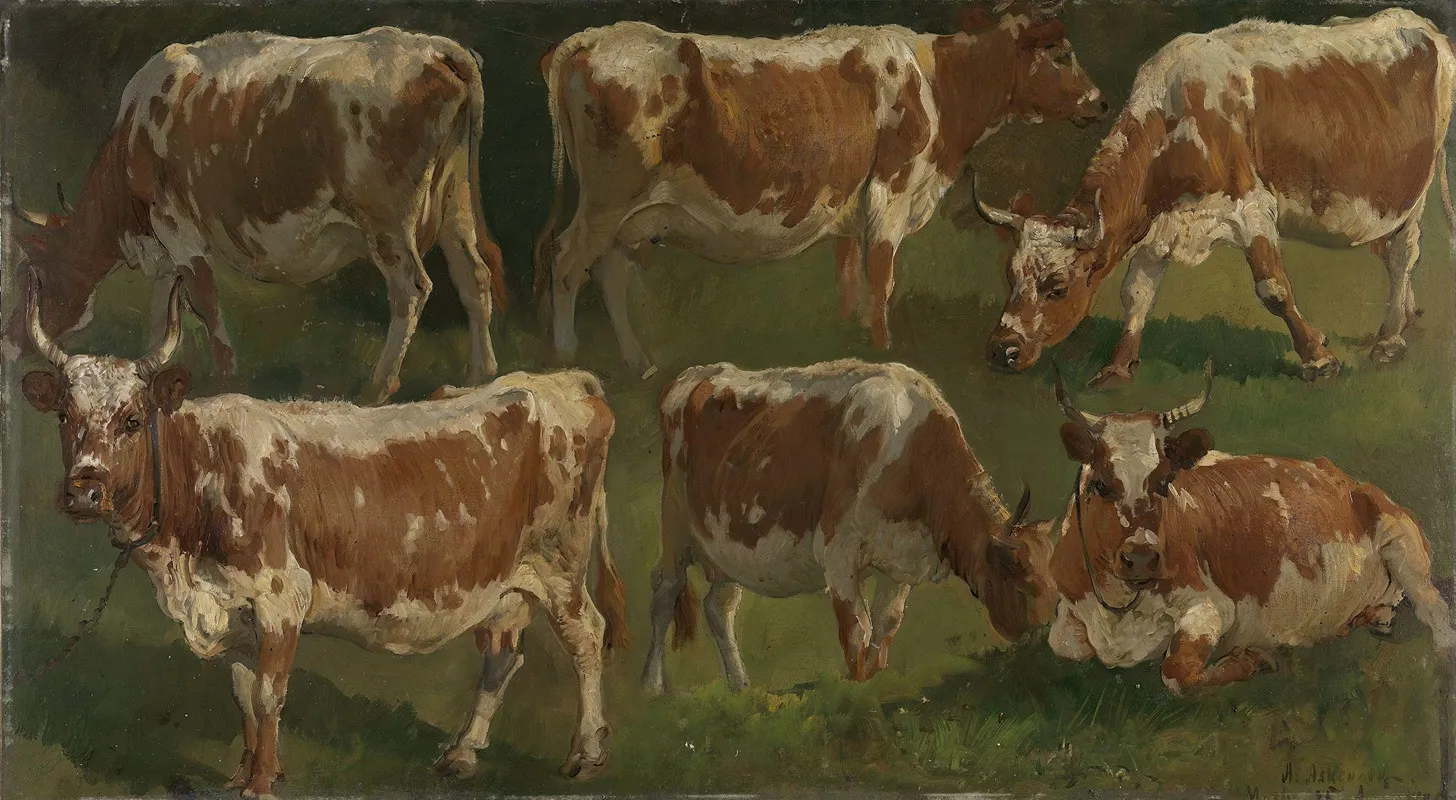 Study Of Cows 2