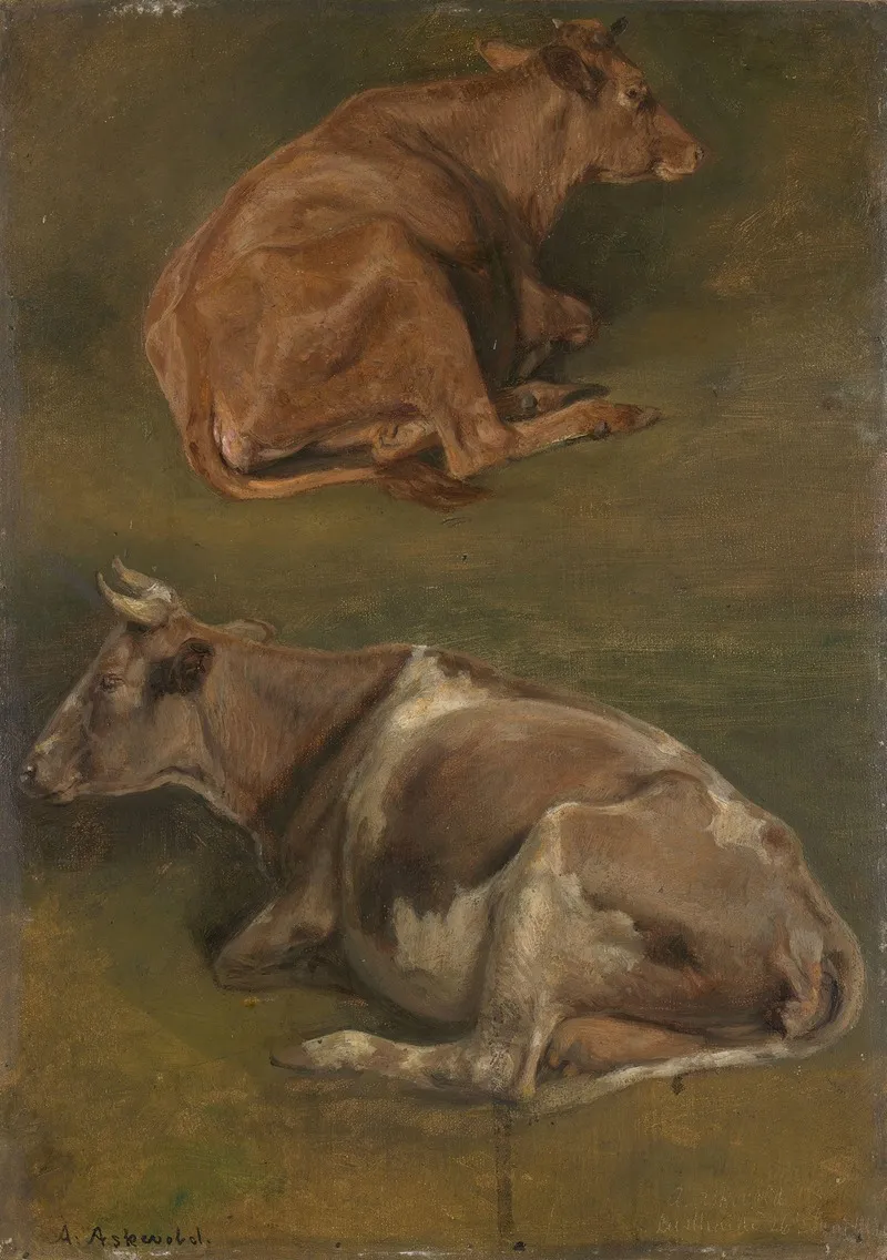 Study Of Cows