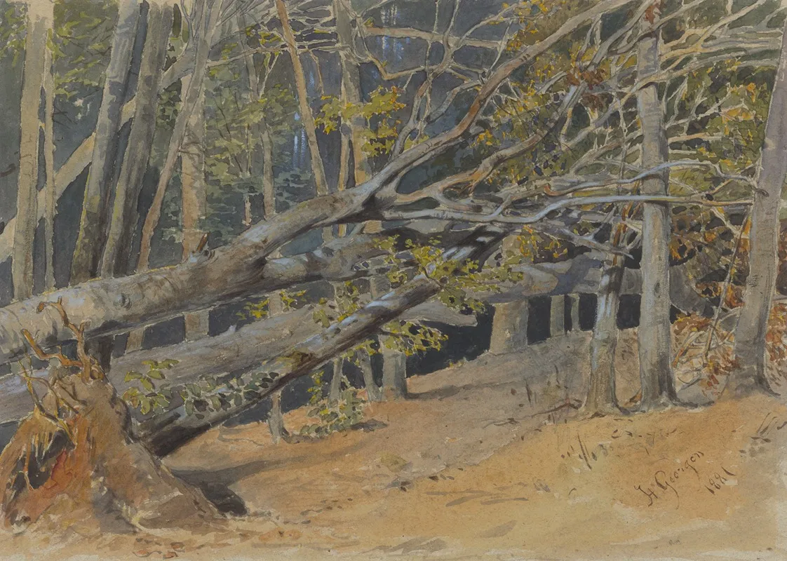 Study Of Cut Down Trees