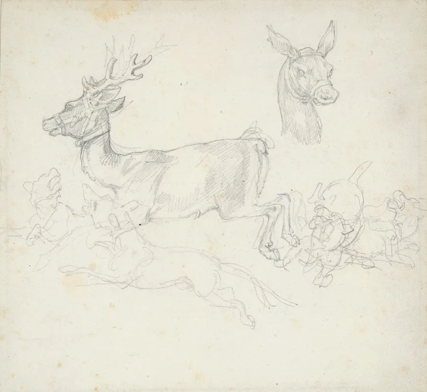 Study Of Deer Chased By Dogs Does Head Wall Art by Théodore Géricault - High-Resolution Digital Print