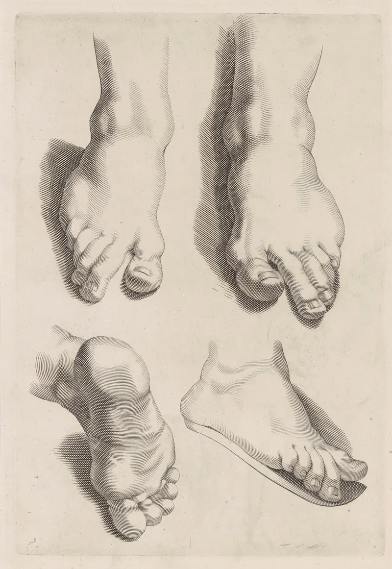 Study Of Feet 2 Wall Art by Peter Paul Rubens - High-Resolution Digital Print