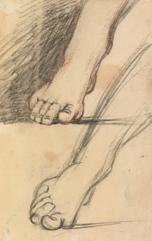 Study Of Feet