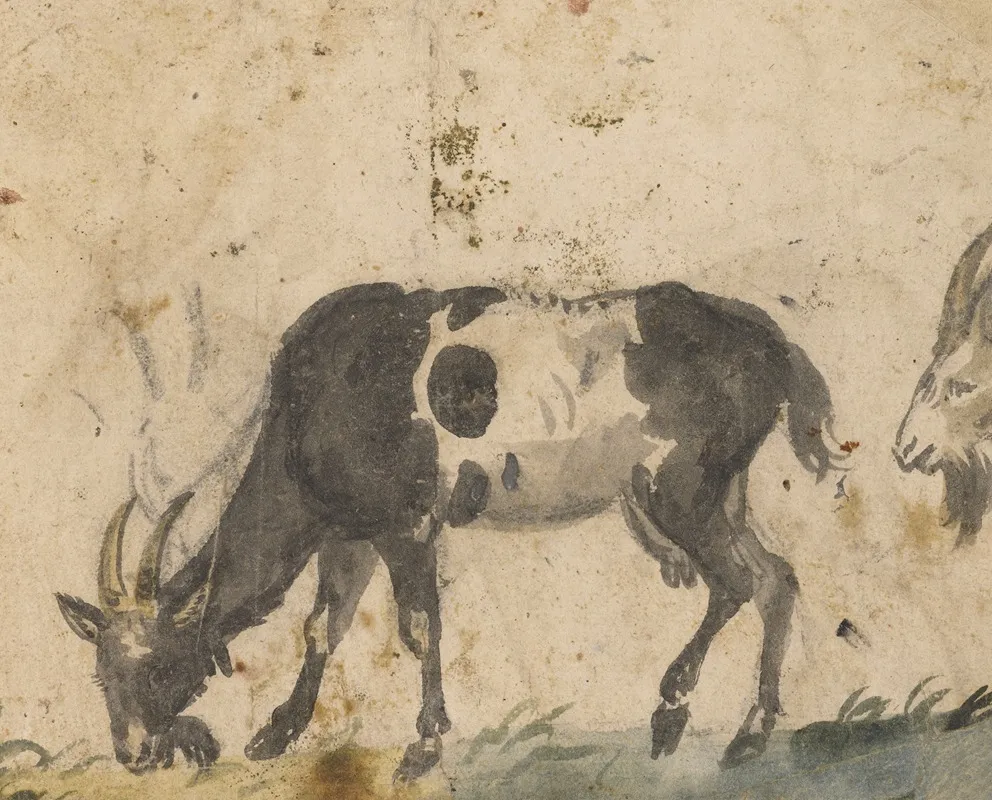 Study Of Goats