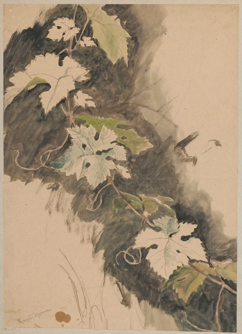 Study Of Grapevines Wall Art by Hans Thoma - High-Resolution Digital Print