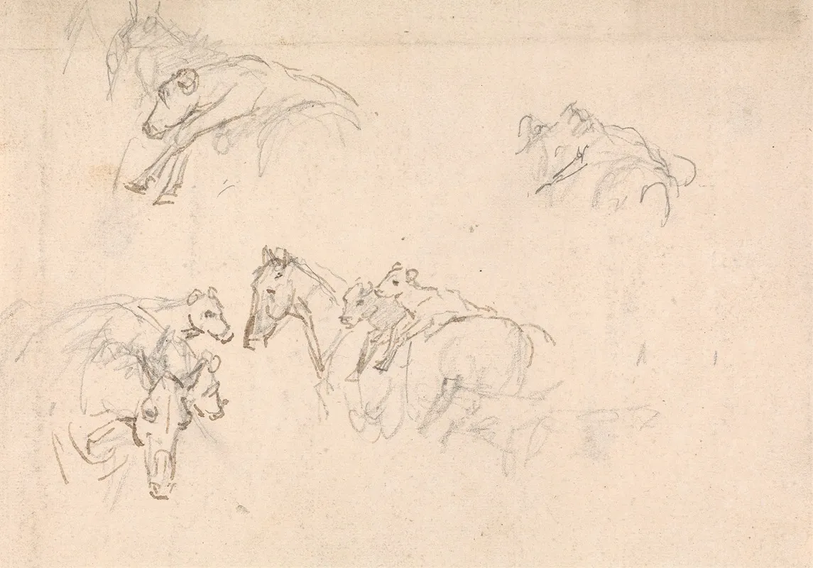 Study Of Horses Carrying Calves On Their Backs
