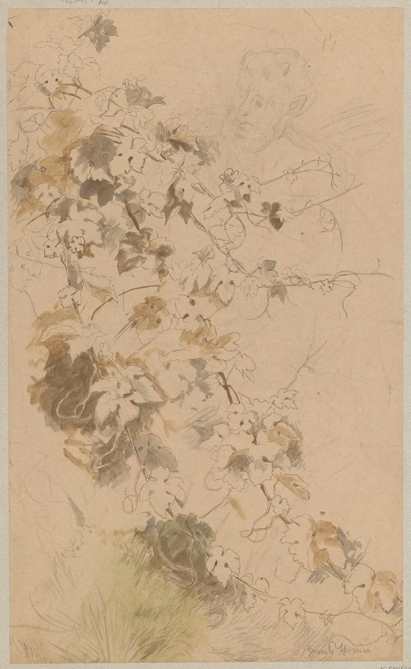 Study Of Ivy Contour Of Satyrs Head Wall Art by Hans Thoma - High-Resolution Digital Print