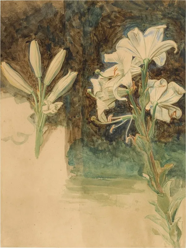 Study Of Lilies For May Morning On Magdalen Tower