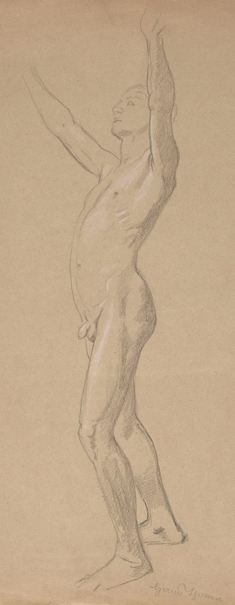 Study Of Male Nude With Raised Hands 2