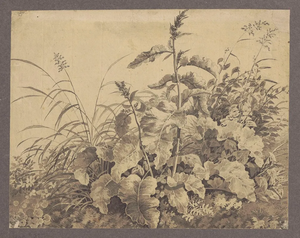 Study Of Meadow Plants Wall Art by Jan Krzysztof Damel - High-Resolution Digital Print