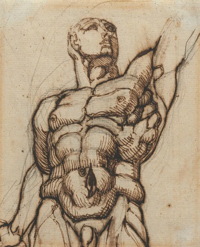 Study Of One Of The Quirinal Dioscuri