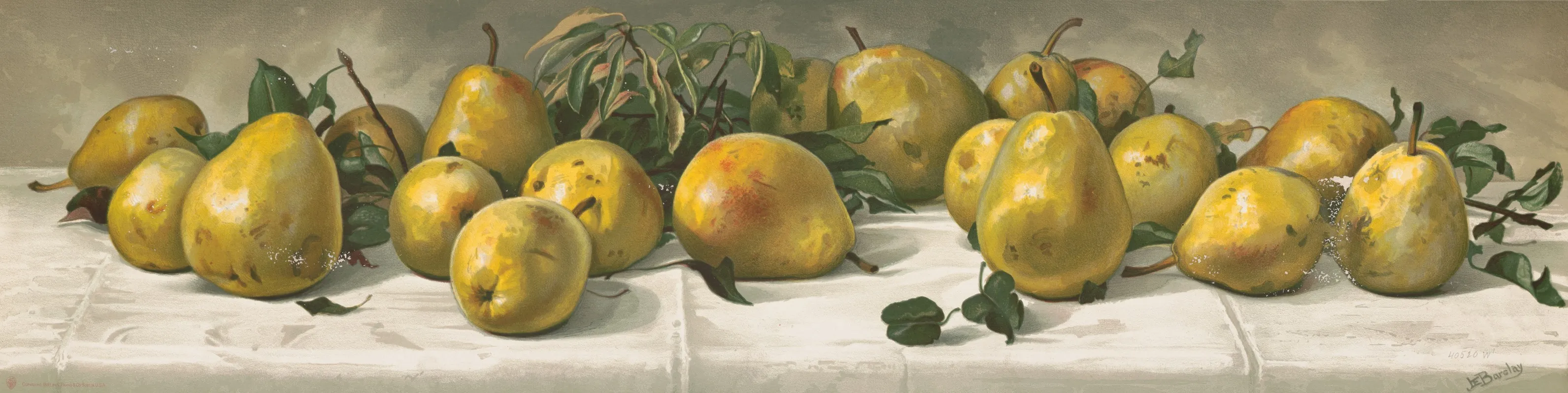 Study Of Pears Wall Art by J. E. Barclay - High-Resolution Digital Print