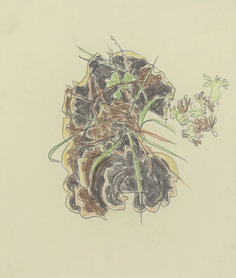 Study Of Plants 5 Wall Art by August Babberger - High-Resolution Digital Print