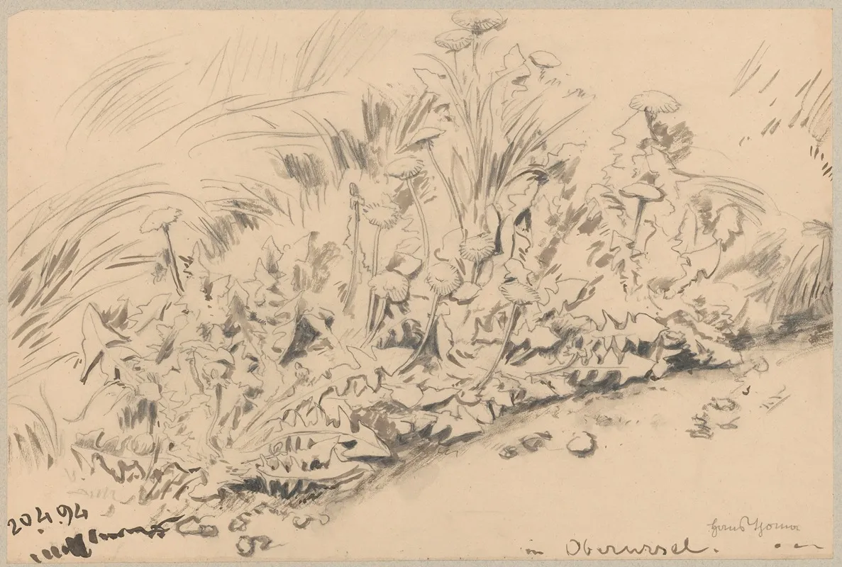Study Of Plants 7 Wall Art by Hans Thoma - High-Resolution Digital Print