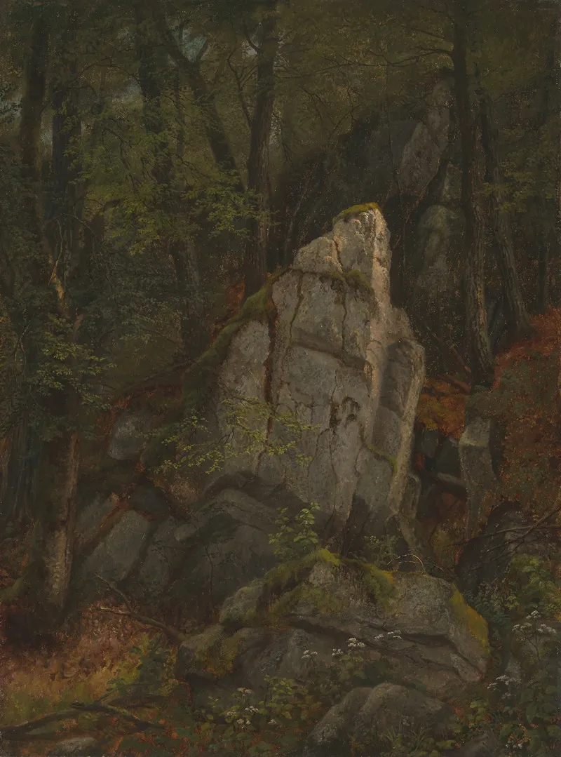 Study Of Rocks In Pearsons Ravine