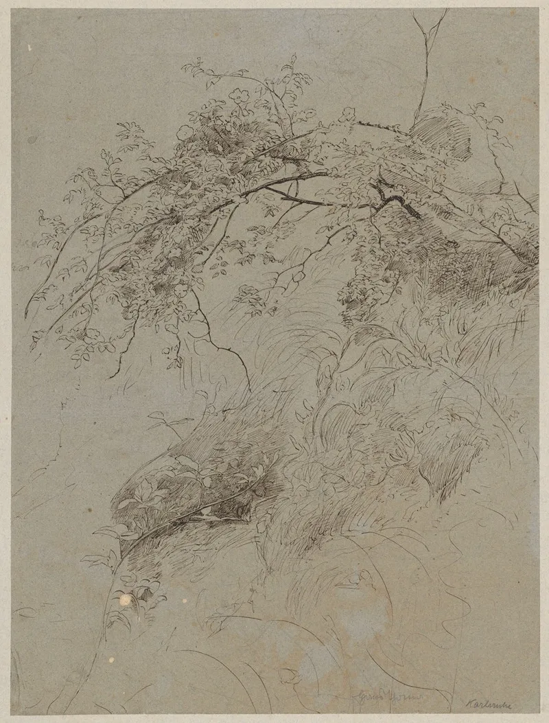 Study Of Scrubs In The Vicinity Of Karlsruhe