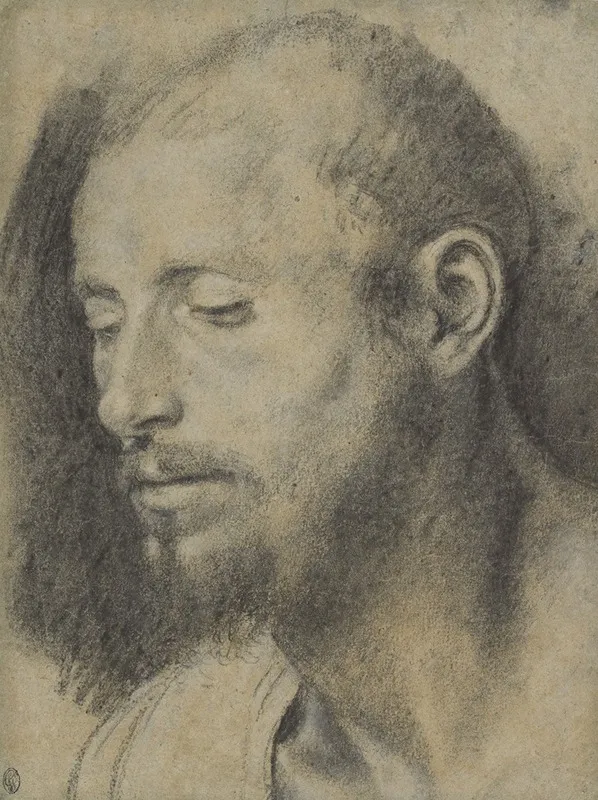 Study Of The Head Of A Bearded Man 2 Wall Art by Giovanni Girolamo Savoldo - High-Resolution Digital Print