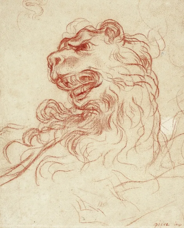 Study Of The Head Of A Lion Wall Art by Baldassarre Franceschini - High-Resolution Digital Print