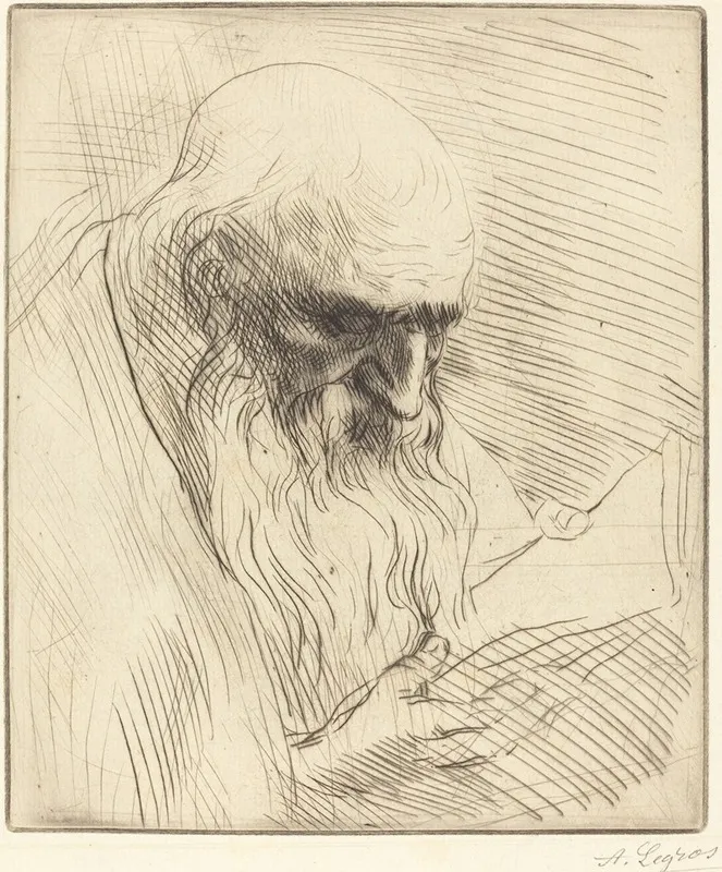 Study Of The Head Of A Man Reading Etude De Tete Dhomme Lisant