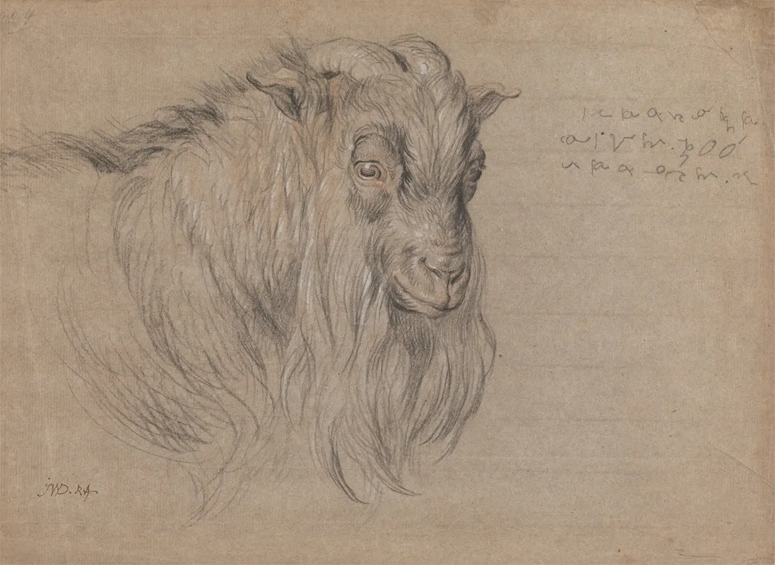 Study Of The Head Of A Ram