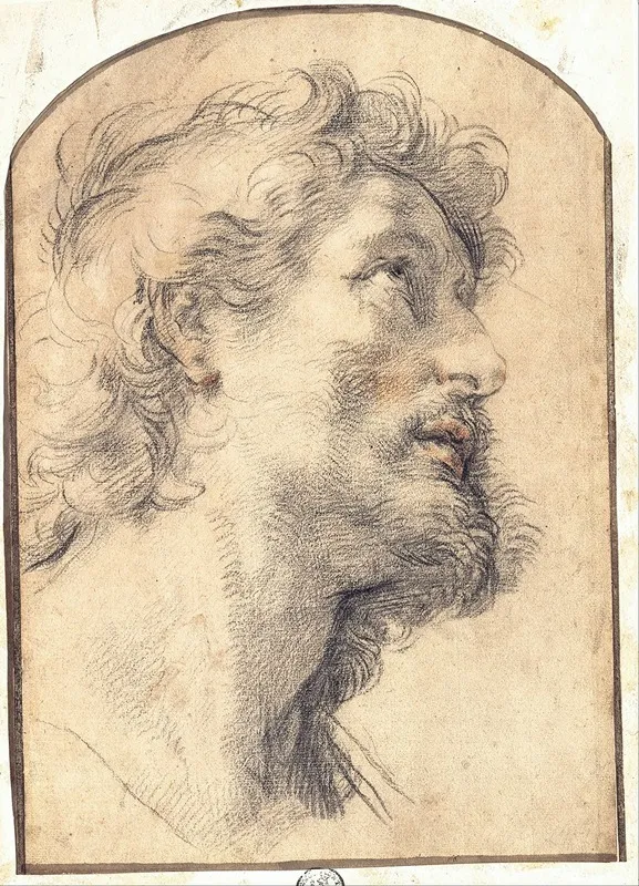 Study Of The Head Of Saint Crispin Wall Art by Benedetto Luti - High-Resolution Digital Print