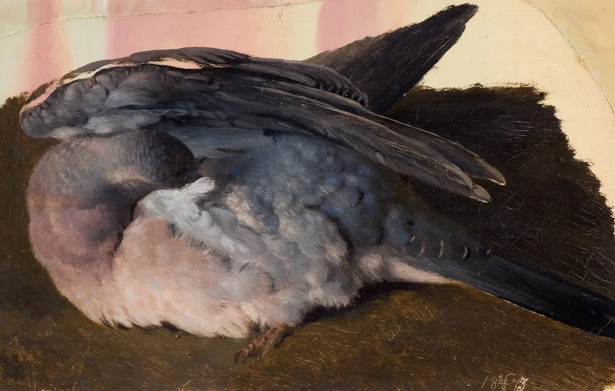Study Of The Sleeping Wood Pigeon Wall Art by Ferdinand von Wright - High-Resolution Digital Print
