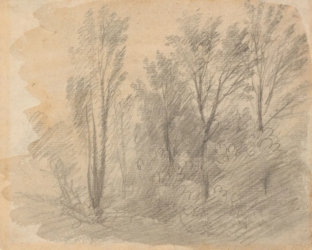 Study Of Trees 14 Wall Art by Thomas Gainsborough - High-Resolution Digital Print