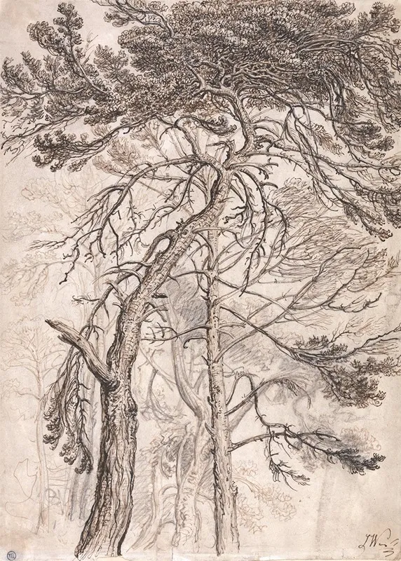 Study Of Trees 8 Wall Art by James Ward - High-Resolution Digital Print