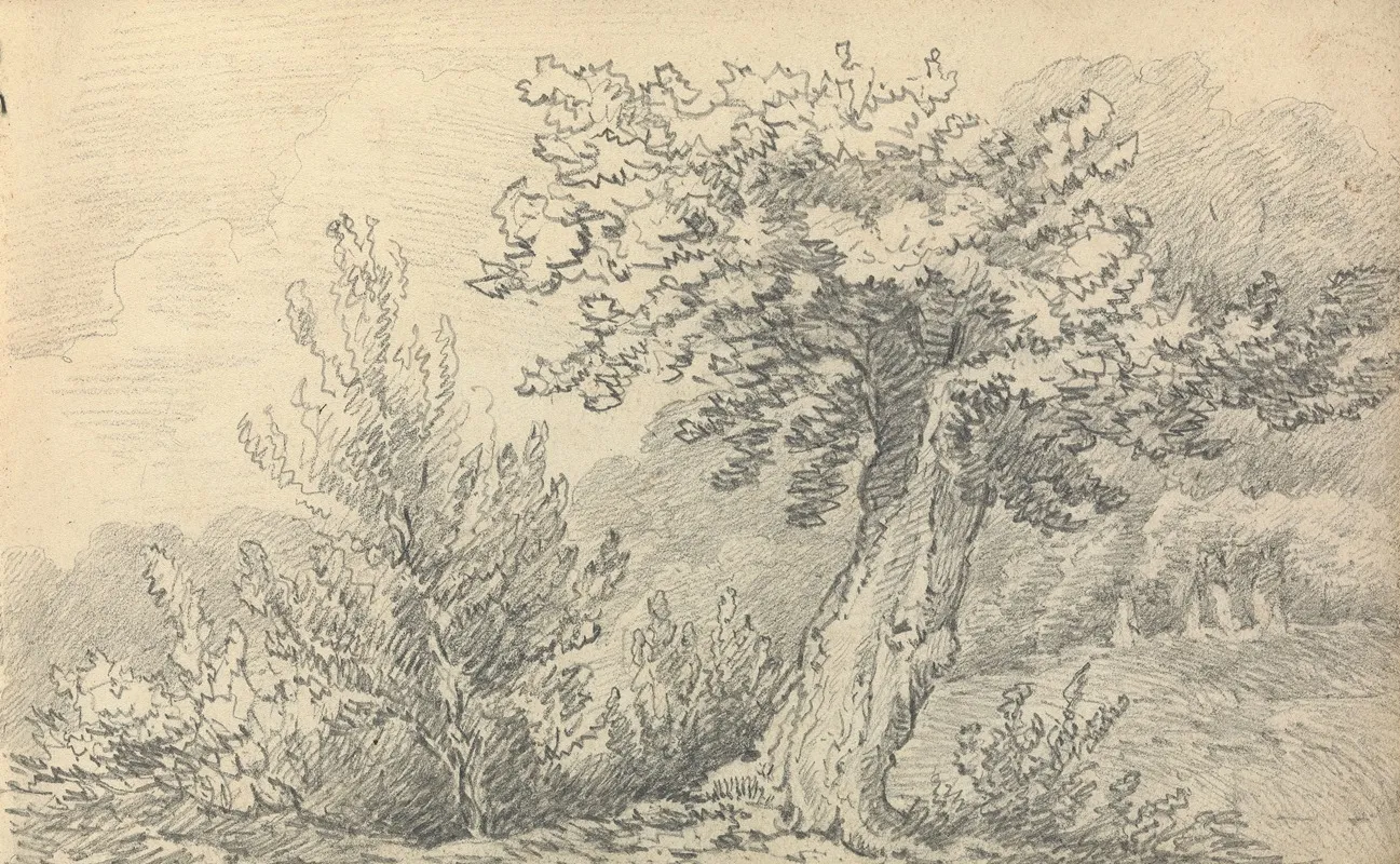 Study Of Trees And Shrubs