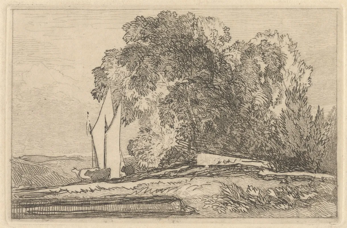 Study Of Trees On The Banks Of The Yare Wall Art by Miles Edmund Cotman - High-Resolution Digital Print