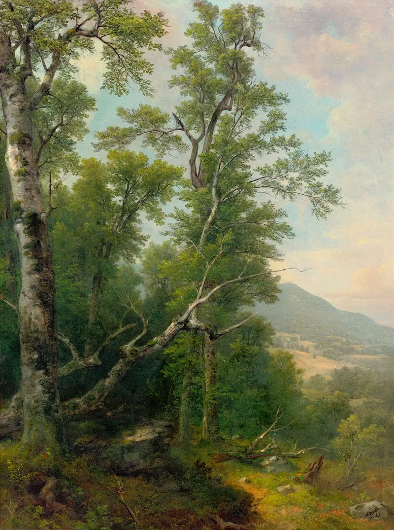 Study Of Trees