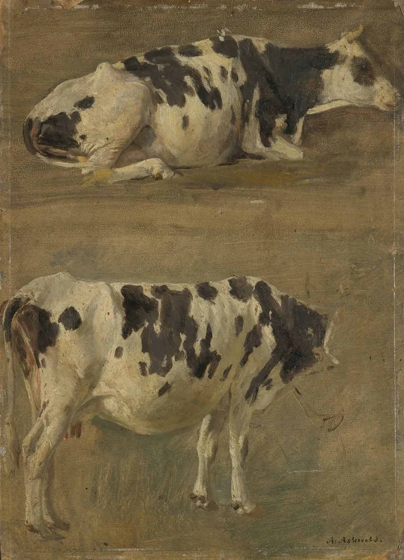 Study Of Two Cows
