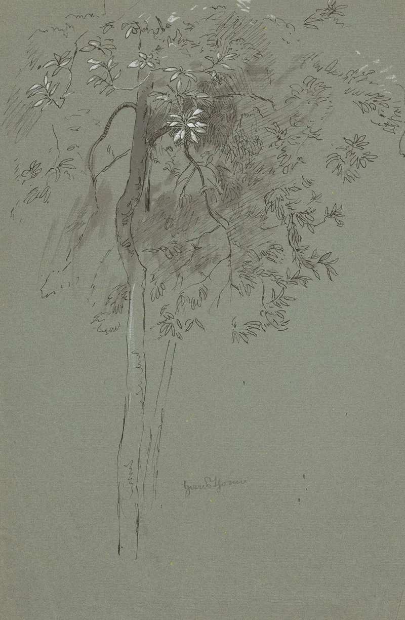 Study Of Two Trees Wall Art by Hans Thoma - High-Resolution Digital Print