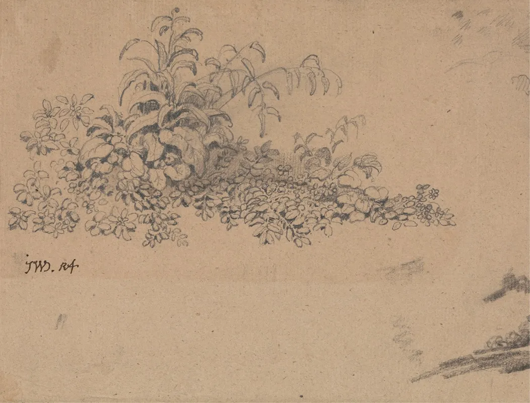 Study Of Undergrowth