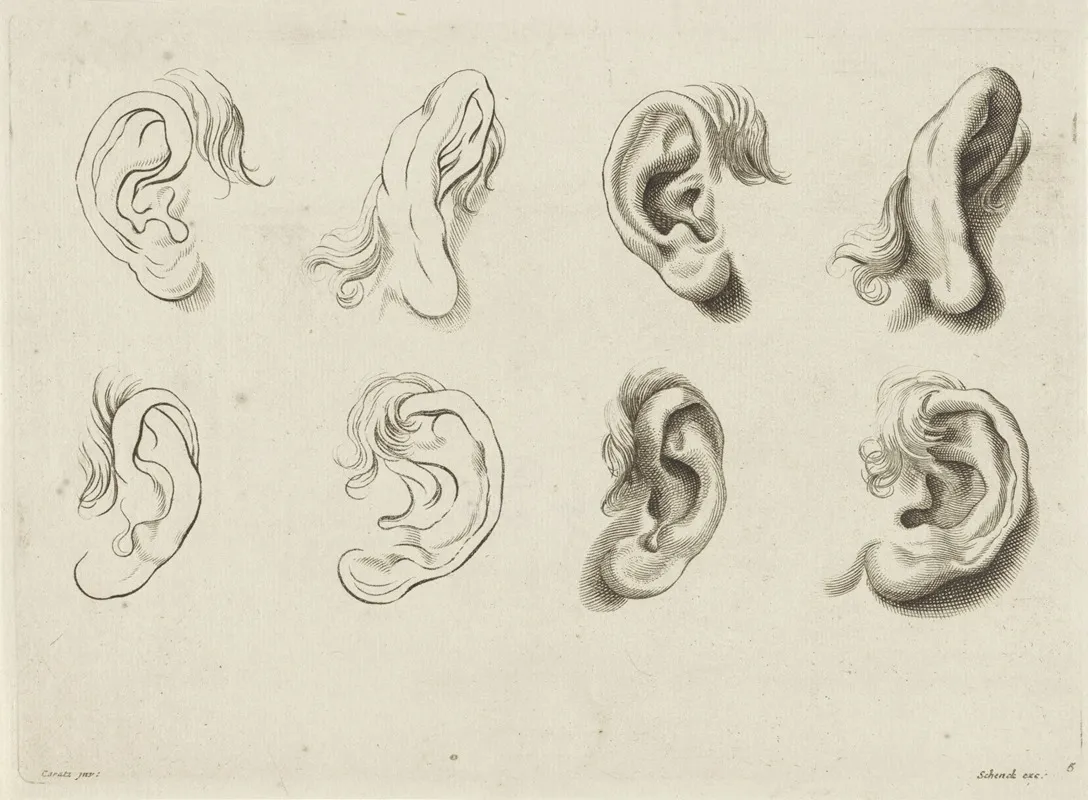 Study Of Various Ears Wall Art by Peter Schenk the Elder - High-Resolution Digital Print
