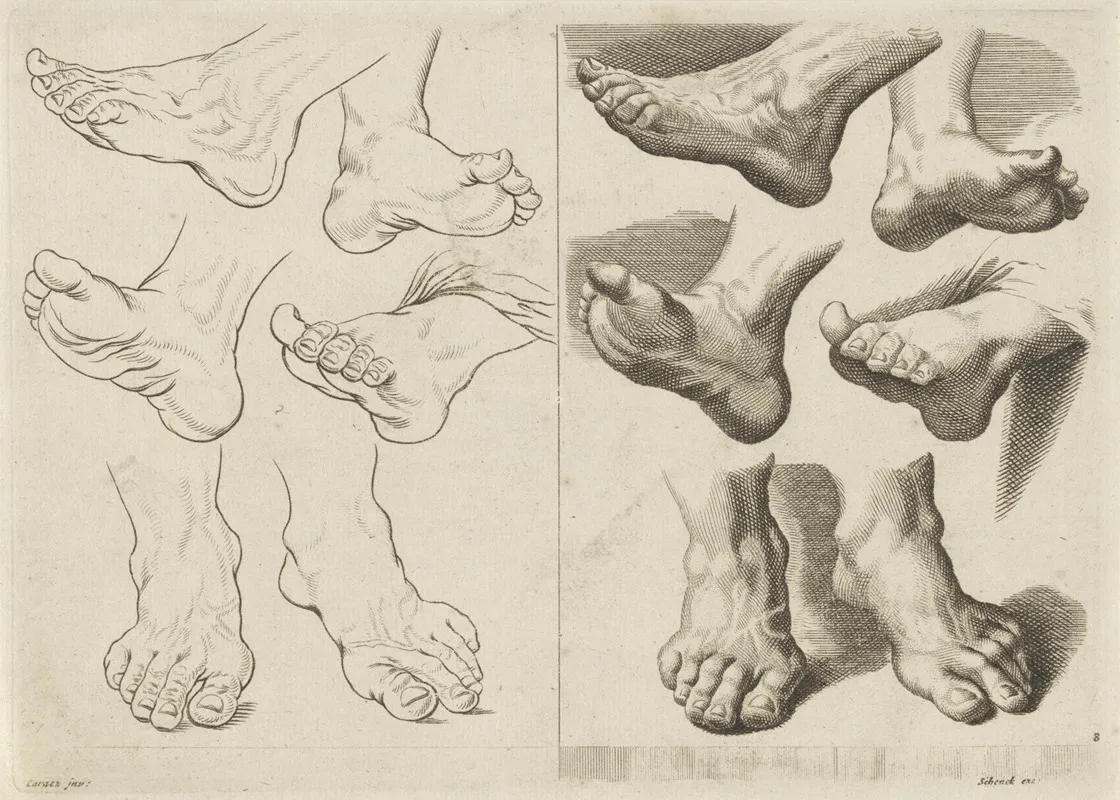 Study Of Various Feet Wall Art by Peter Schenk the Elder - High-Resolution Digital Print