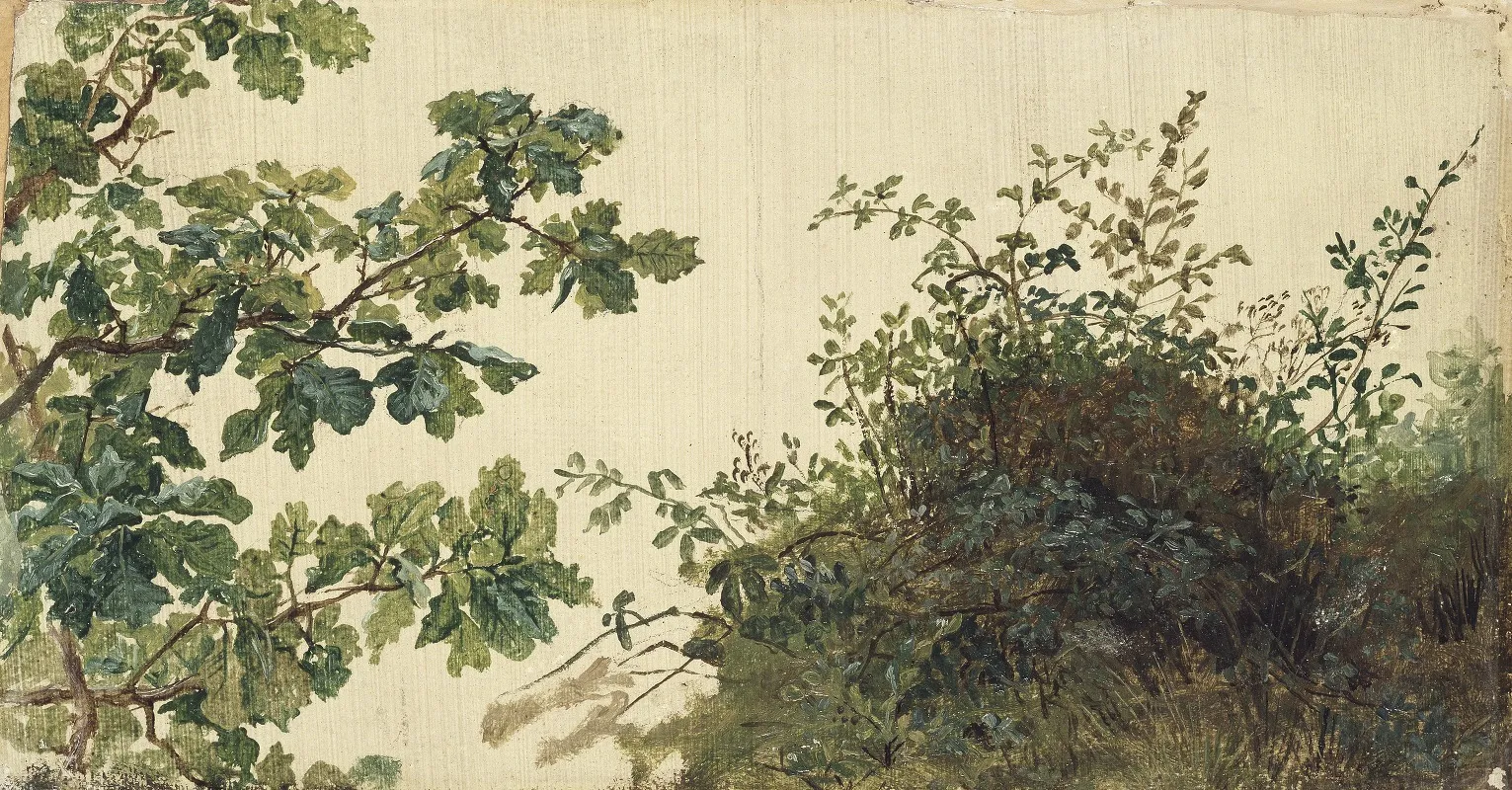 Study Of Vegetation Wall Art by Kilian Zoll - High-Resolution Digital Print