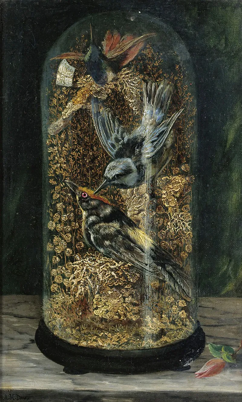 Stuffed Birds In A Dome Wall Art by Arthur H. Davis - High-Resolution Digital Print