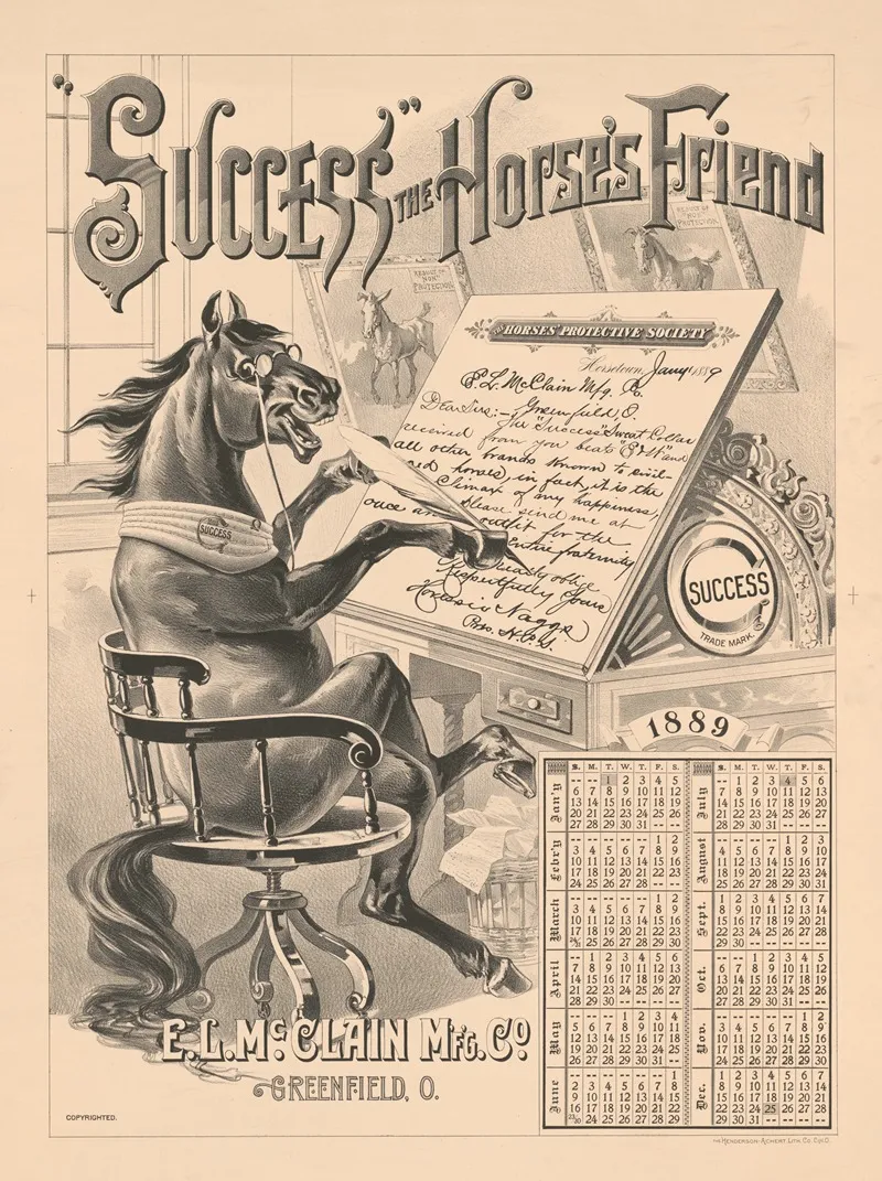 Success The Horses Friend