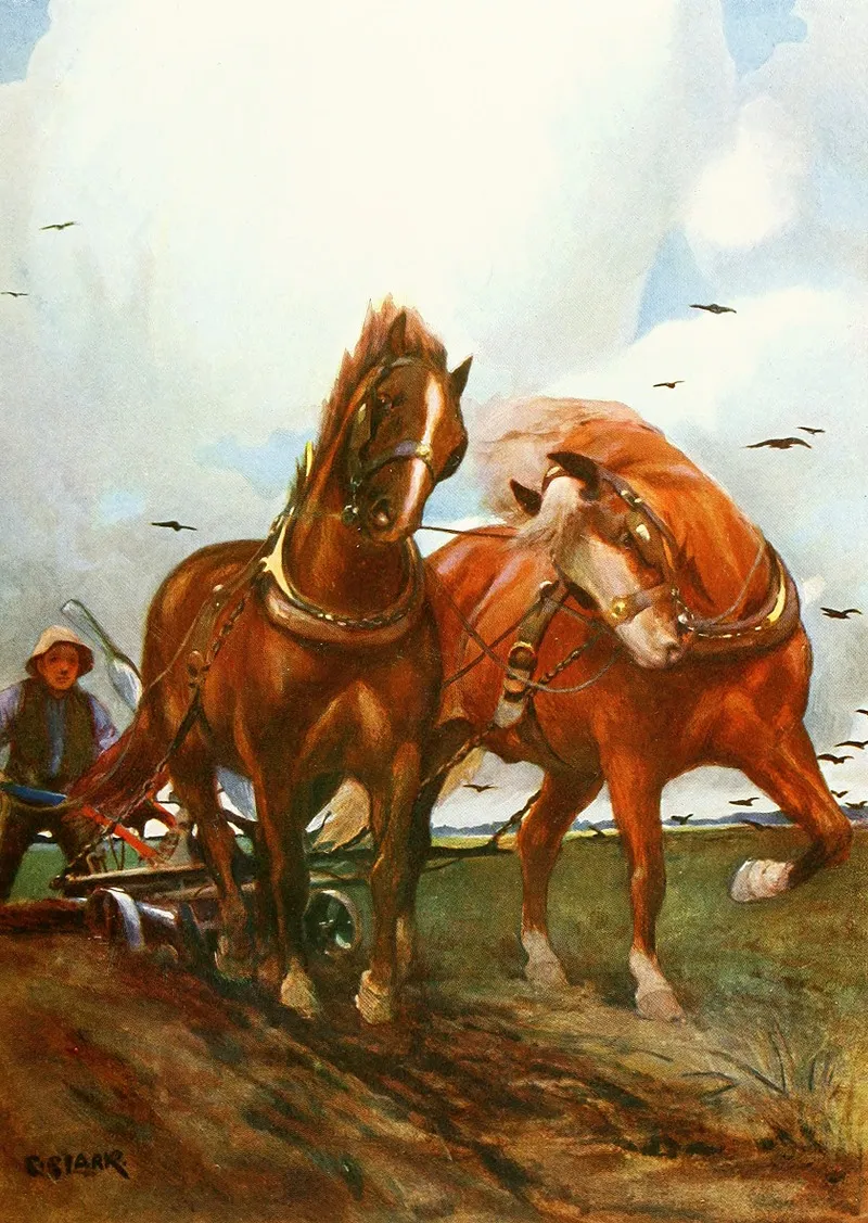 Suffolk Horses Wall Art by Christopher Clark - High-Resolution Digital Print