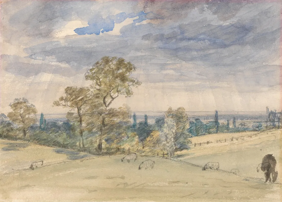 Landscape