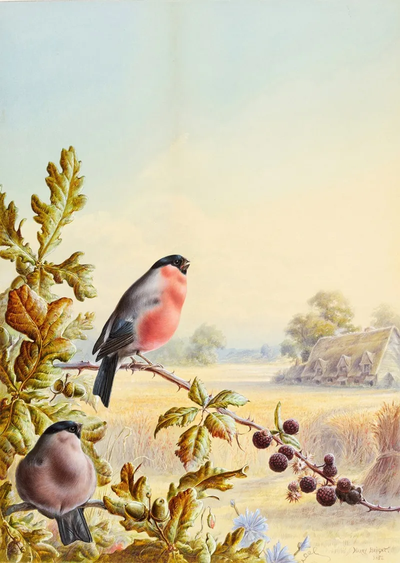 Summer A Pair Of Bullfinch Wall Art by Harry Bright - High-Resolution Digital Print