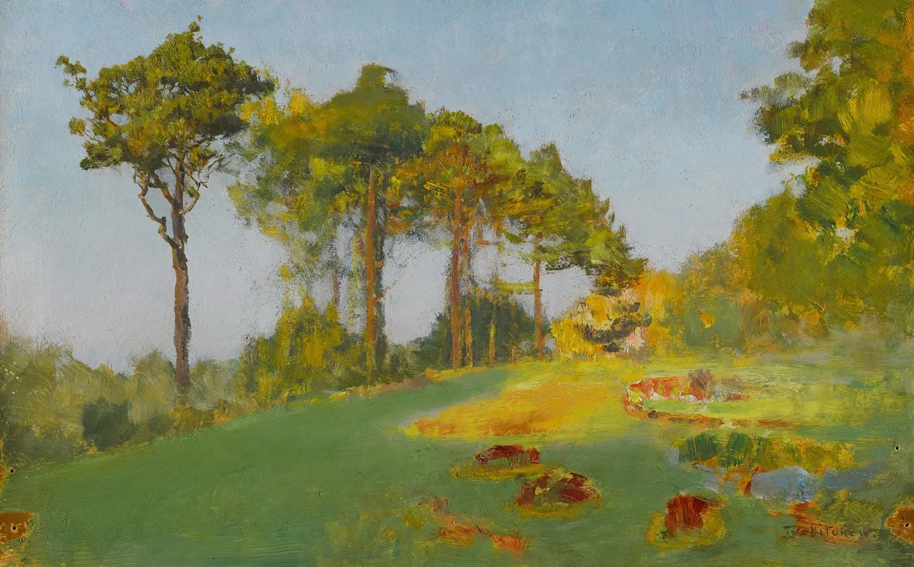 Summer At Jupille Study Of Trees