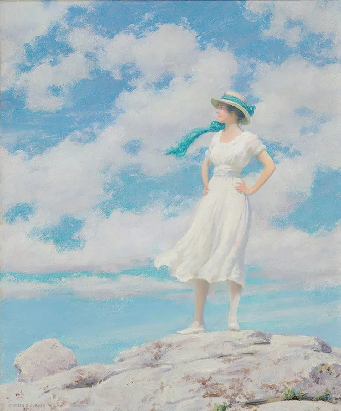 Summy Sky On The Summit