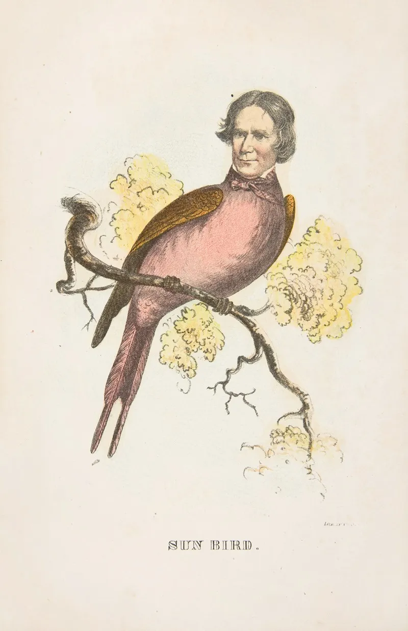 Sun Bird James S Wallace