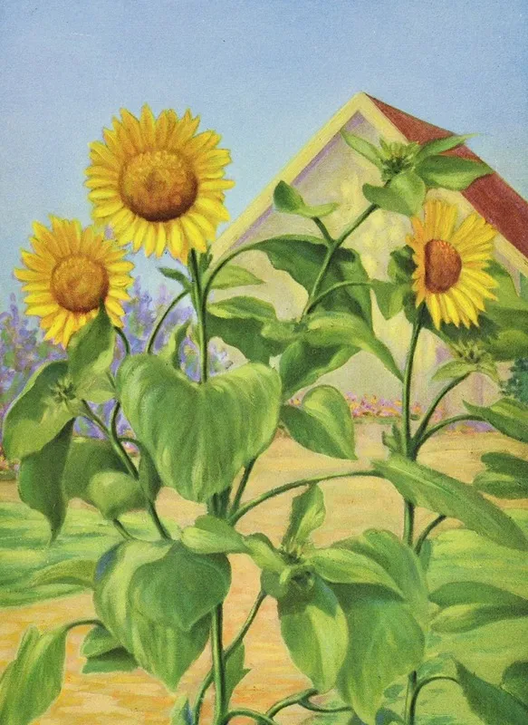 Sunflower 2 Wall Art by Lafayette F. Cargill - High-Resolution Digital Print