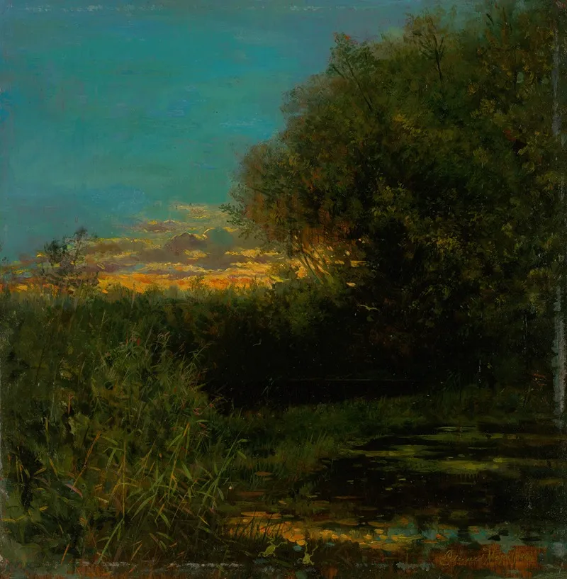 Sunset And Tree Shade