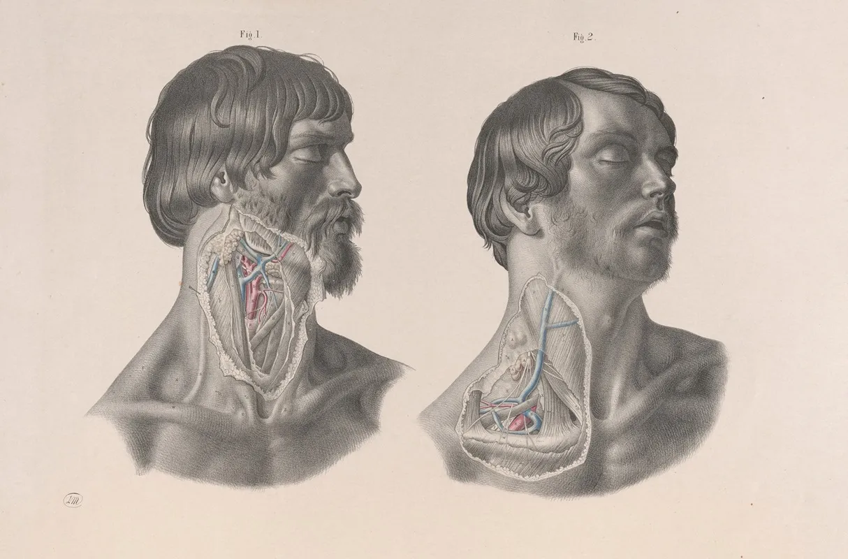 Surgical Anatomy Pl 07 Wall Art by Joseph Maclise - High-Resolution Digital Print