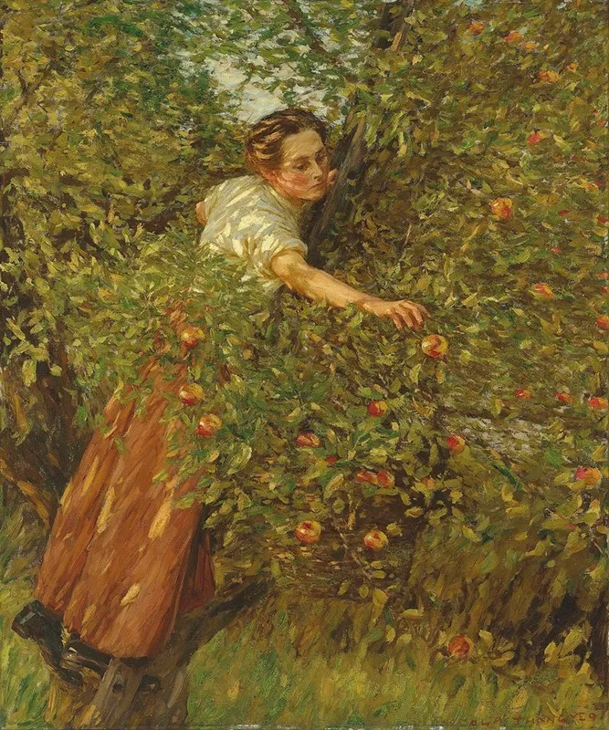 Sussex Apples